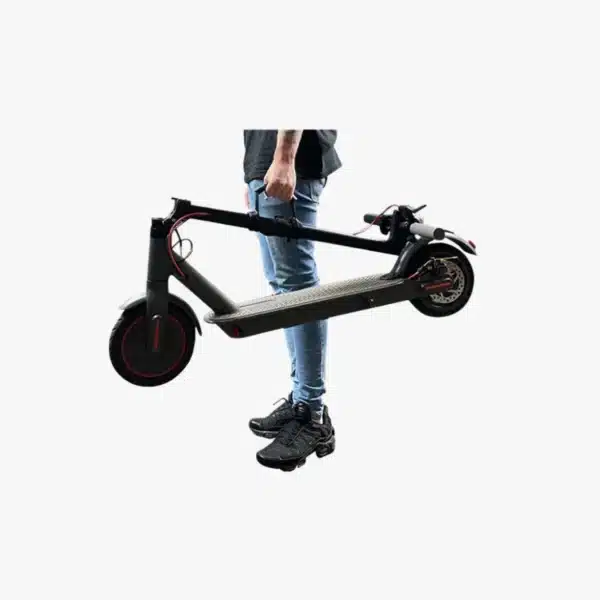 Harnais De Transport Pour